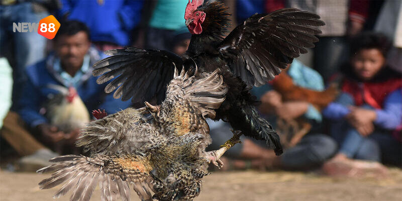 Tỷ lệ trả thưởng cực cao so với đơn vị khác